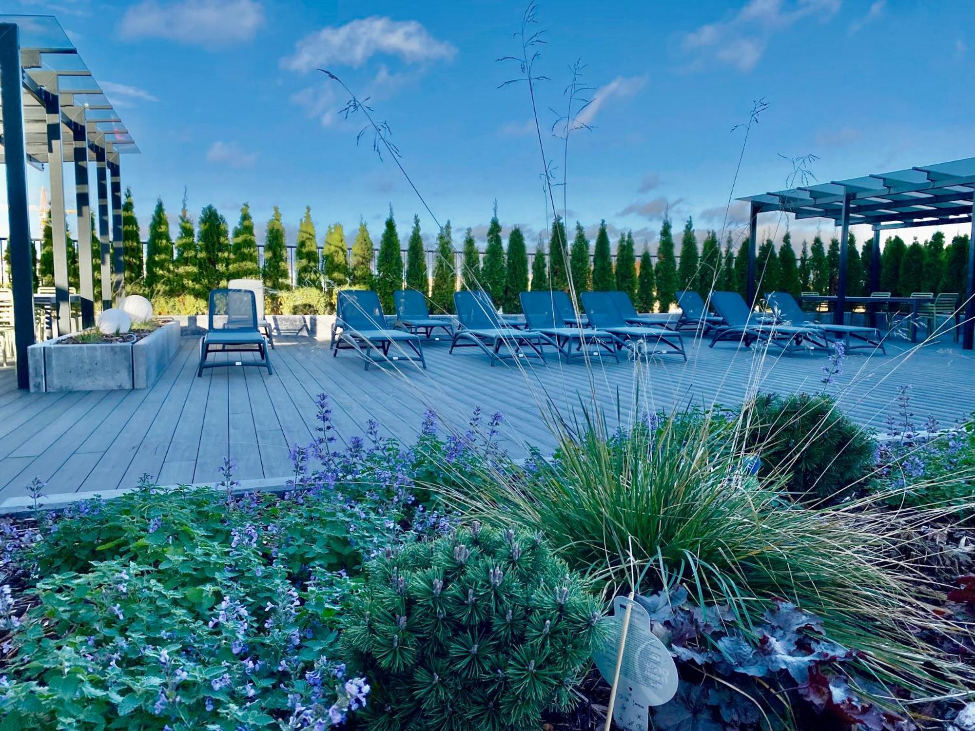 Vektor Premium With Rooftop Garden & Free Parking *